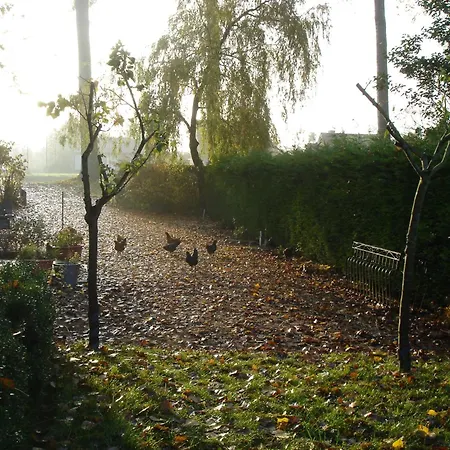 Oda ve Kahvaltı Le Coquin Brugge